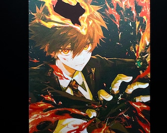 家庭教師ヒットマンREBORN! 沢田綱吉/獄寺隼人 燃えるポストカード