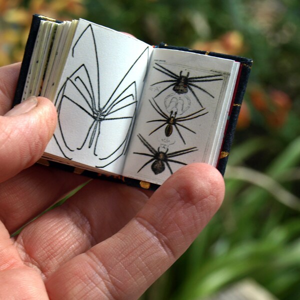 miniature hand bound  book "arachnophobia"
