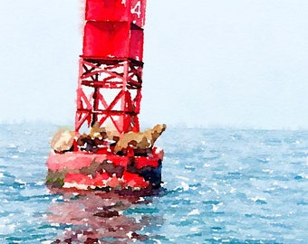 Sea Lion Buoy