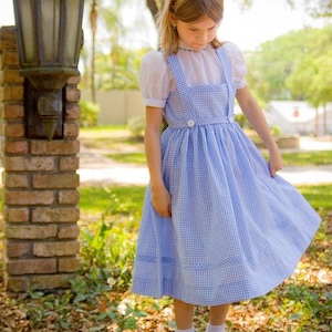 Custom Wizard of Oz Dorothy Dress in any Girls Size