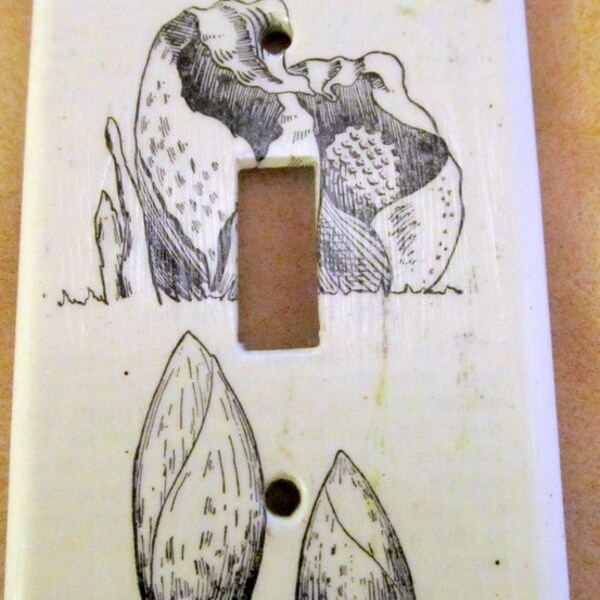 vintage culinary dictionary SKUNK CABBAGE  light switch plate