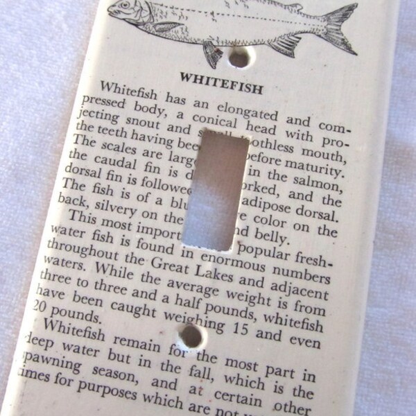 vintage dictionary WHITEFISH  light switch plate