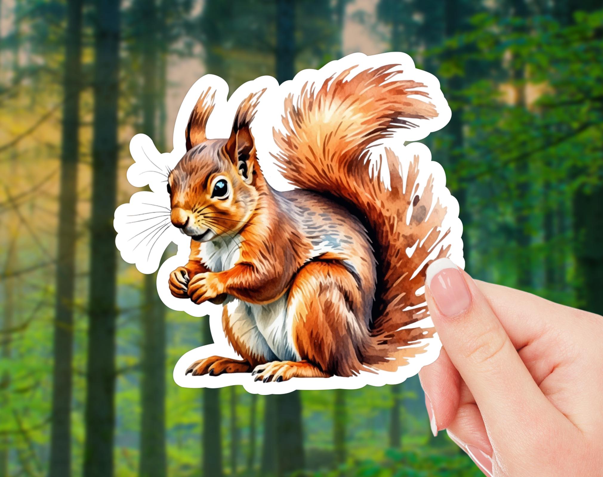 Squirrel Sticker 4 Inch Vinyl Decal - Waterproof Animal Decal For Laptop & Water Bottle