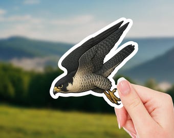 Peregrine Falcon Sticker – Realistic Bird of Prey Decal, Nature Wildlife Gift for Bird Lovers, Raptor Art Vinyl Sticker