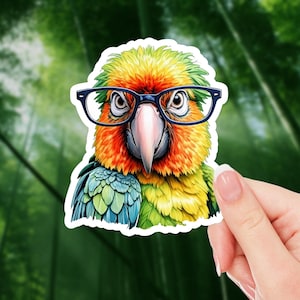 Colorful Parrot Sticker | Tropical Bird Decal | Vibrant Parrot Vinyl Sticker for Laptops, Water Bottles, and Journals