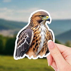 Hawk Sticker – Wildlife Art Decal – Nature Bird Vinyl Sticker