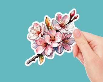 Sakura Blossom Sticker
