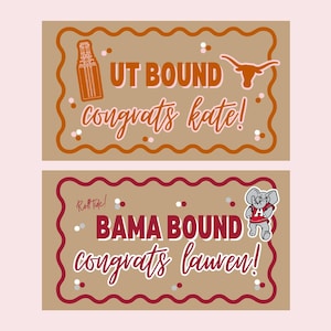 Hand-Painted College Acceptance Banner | Personalized Announcement