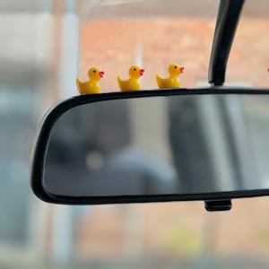 Mini Decorative Ducks for Car Mirror/Dashboard