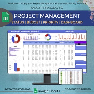 Project Management Dashboard | Multi-Projects Dashboard | Multiple Project status | Status Report | Budget Report | Progress Tasks