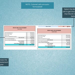 May include: A table showing a profit and loss statement for the year and a profit and loss statement for the month. The table shows total revenue, total cost of sales, gross profit, total operating expenses, total non-operating expenses, total income, total expenses, net income, total share distributions, and total profit.
