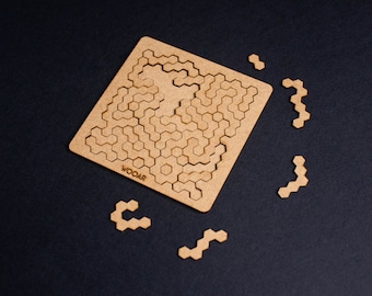 Eco-puzzel, zeshoekige puzzel Brain Teaser