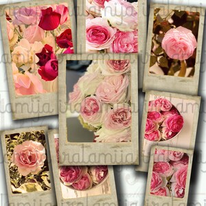 May include: A collage of vintage-style photos featuring pink roses in various arrangements. The photos are framed with a textured border and have a faded, antique look.