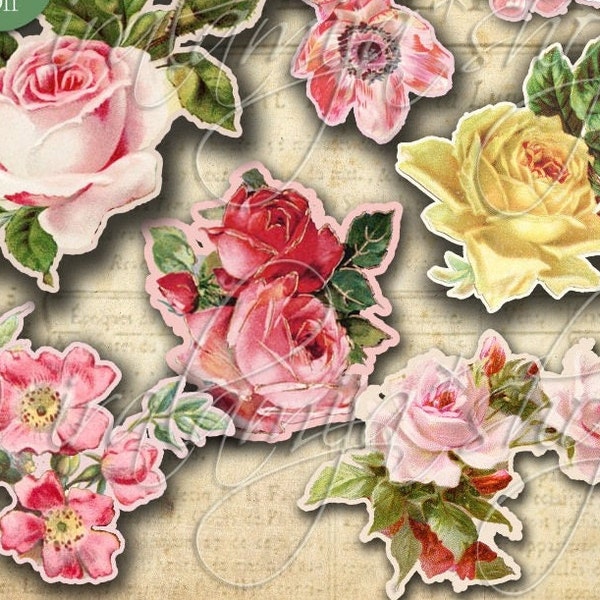 CUT OUT ROSeS No. 3 Printable Digital Images/printable Roses/ Scrapbook / Roses Printable / Vintage Roses /Cut Outs / Roses / Flowers / Rose