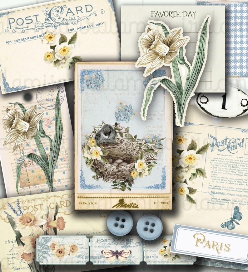 May include: A vintage-style collage featuring images of flowers, birds, and buttons. The collage includes a postcard with the text "Post Card" and a sign that says "Paris".