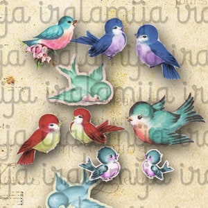 Printable Birds/ LITTLE BIRDS Digital Printable Images / Bird / Birds /Retro Birds / Junk Journal / Planner Printable Card / Vintage Birds