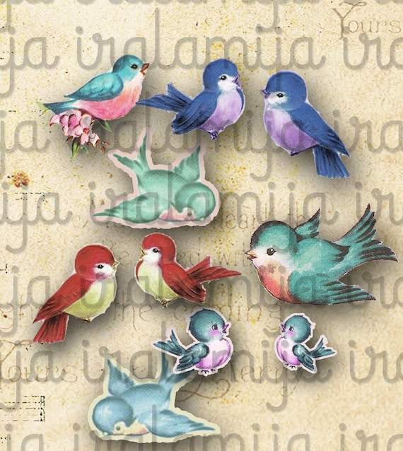 Printable Birds/ LITTLE BIRDS Digital Printable Images / Bird - Etsy