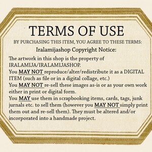 May include: A digital image with a gold octagon border and the text "TERMS OF USE" in black. The text below explains the copyright notice and terms of use for the artwork in the shop.