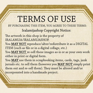 K&ouml;nnte beinhalten: Ein digitales Bild mit einem goldenen Achteckrahmen und dem Text "TERMS OF USE" in Schwarz. Der Text darunter erkl&auml;rt den Urheberrechtshinweis und die Nutzungsbedingungen f&uuml;r die Kunstwerke im Shop.