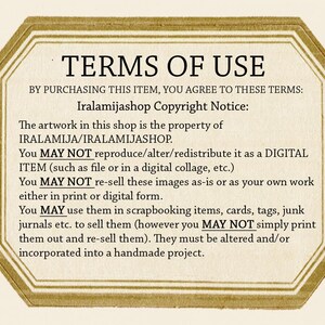 May include: A digital image of a document with the title "Terms of Use" and a copyright notice for Iralamijashop. The document outlines the terms of use for purchasing digital artwork from the shop, including restrictions on reproduction, alteration, and redistribution.