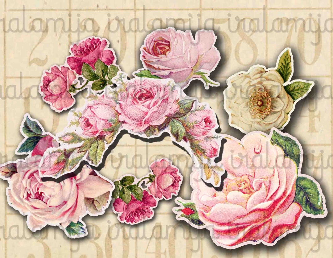 CUT OUT Roses 5 / Digital Images / Printable Roses / Scrapbook / Roses