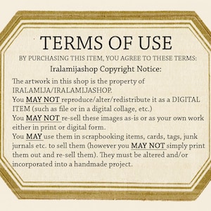 May include: A digital image with a gold octagon border and the text "TERMS OF USE" in black. The text below explains the copyright notice and terms of use for the artwork in the shop.