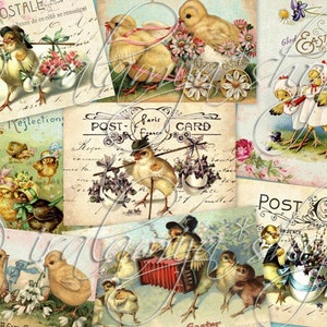 EASTER CHICK Collage Immagini Digitali -file scaricabile stampabile-