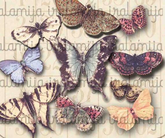 Printable Butterflies / VINTAGE BUTTERFLIES / Butterflies | Etsy
