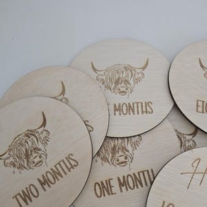 Holy Cow Baby Milestone Discs: Engraved Wooden Plaque Set