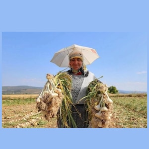 Puede incluir: Juego de tres tazas de cer&aacute;mica con acabado mate moteado. Las tazas son en tonos crema, gris claro y gris oscuro. Cada taza tiene un dise&ntilde;o simple y minimalista y un asa redondeada. Para caf&eacute; o t&eacute;.