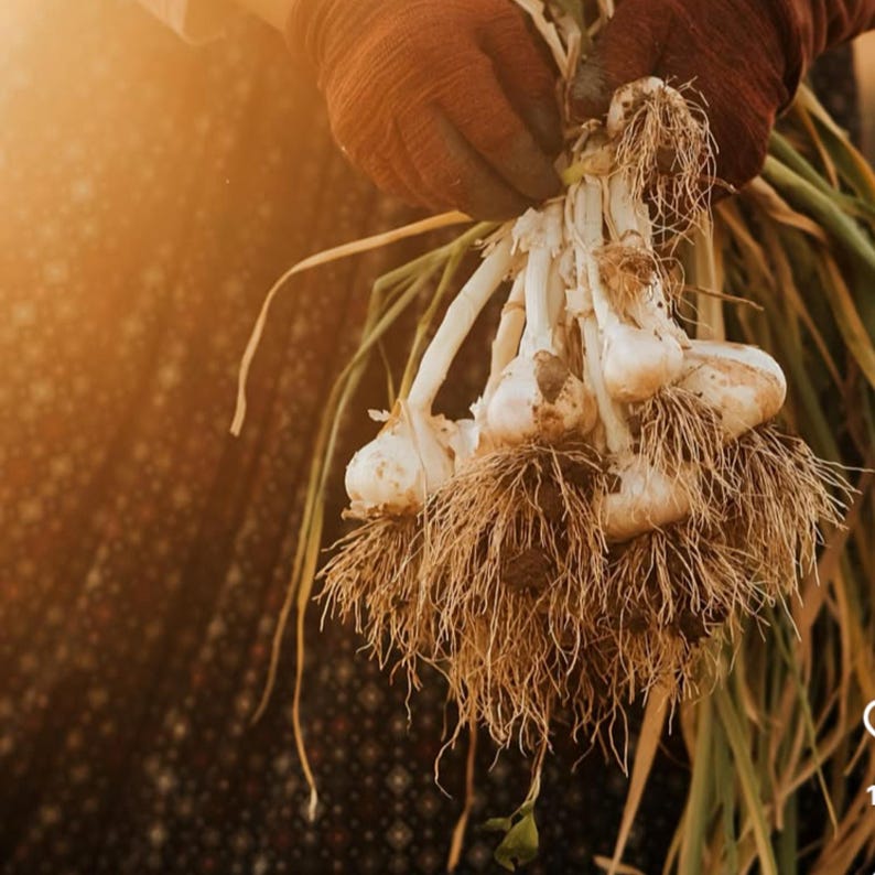 Puede incluir: Un juego de tres tazas de cer&aacute;mica con un acabado moteado y mate. Las tazas son de color crema, gris claro y gris oscuro. Cada taza tiene un dise&ntilde;o simple y moderno y un asa redondeada.
