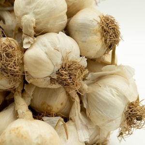 Türkischer Knoblauchsamen, Mild-süßer Geschmack, frischer Knoblauch, Gemüseernte-Zwiebeln, einsatzbereit für die Ernte der nächsten Saison, organischer Knoblauch der neuen Saison