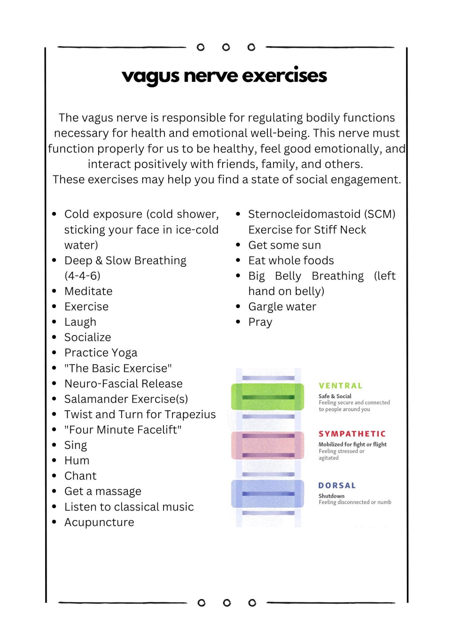 Polyvagal Exercises Digital Download for Clients and Therapists ...