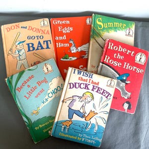 Set aus 6 Anfängerbüchern zum Thema Ich-kann-alles-lesen