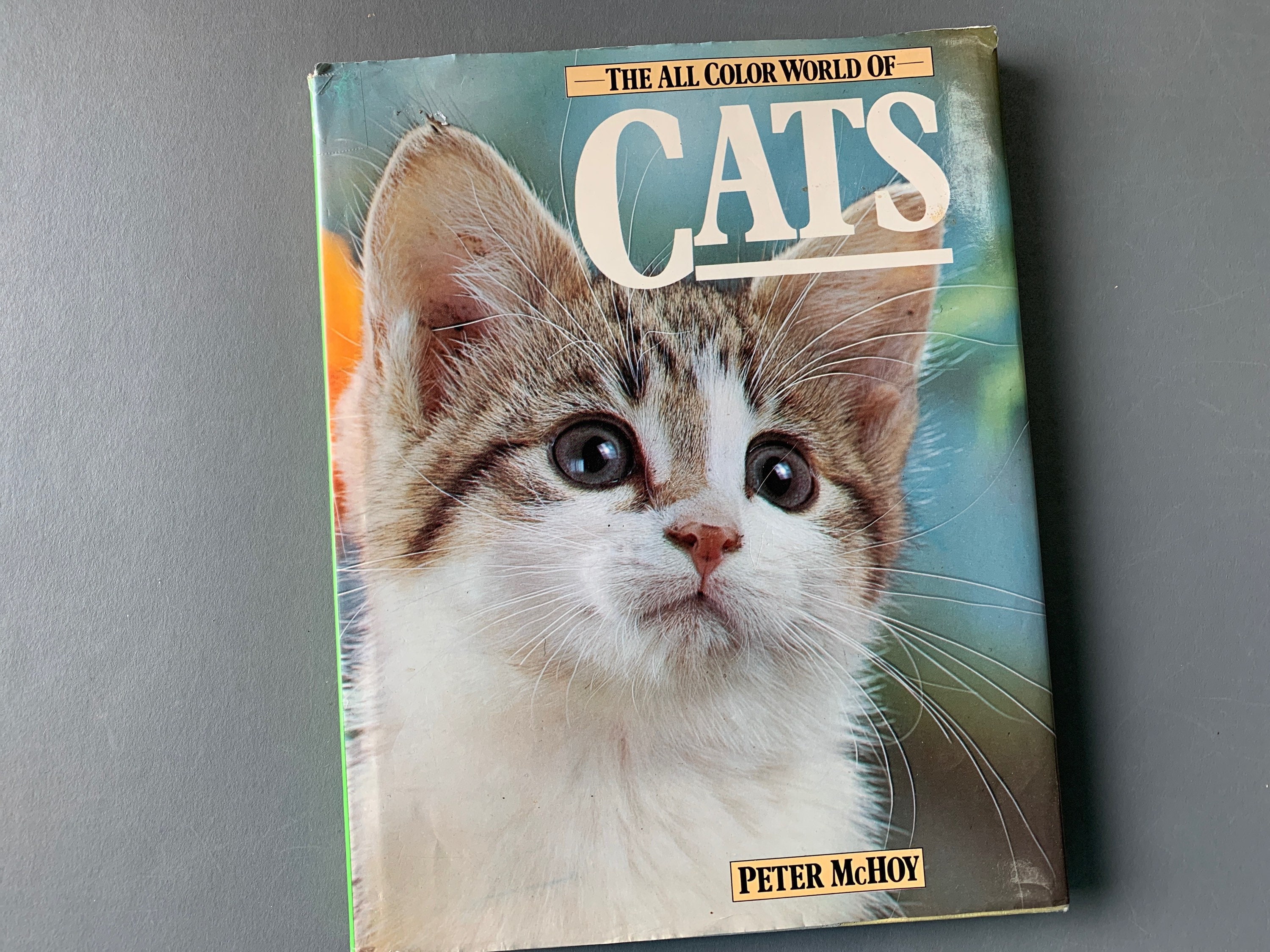 1978 All Color World of Cats - Large Scale Coffee Table Book for