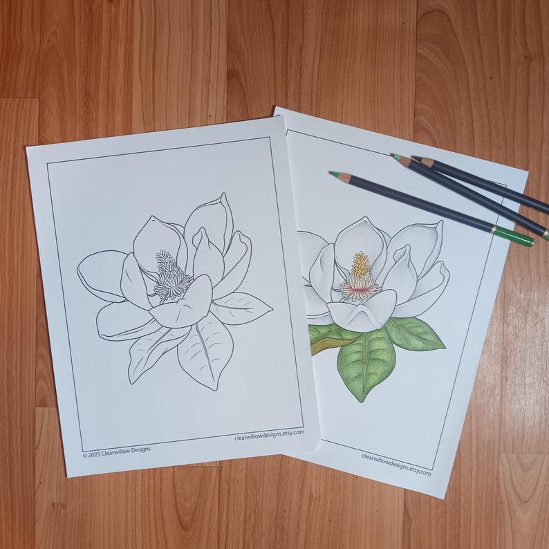 Southern Magnolia Printable Coloring Page - Etsy
