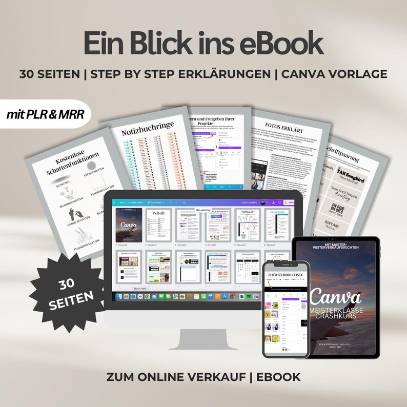Canva Crash Course for Beginners with PLR | Design for Social Media, Instagram & More | Canva Free + Pro Version | Digital Products image 2