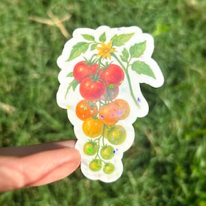 May include: A sticker featuring a cluster of tomatoes in various stages of ripeness, from green to red. The tomatoes are attached to a green vine with leaves and a yellow flower. The sticker has a white border.
