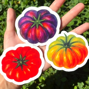 Pack d'autocollants tomates : Ensemble d'autocollants tomates, illustrations de légumes à l'aquarelle, esthétique méditerranéenne