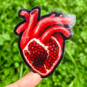 Pomegranate Heart Sticker Pack: Anatomical Human Heart Sticker, Surreal Art Sticker Set, Persephone Stickers, Dark Academia Aesthetic Black (Gloss)