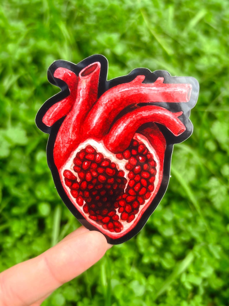 Pomegranate Heart Sticker Pack: Anatomical Human Heart Sticker, Surreal Art Sticker Set, Persephone Stickers, Dark Academia Aesthetic Black (Gloss)