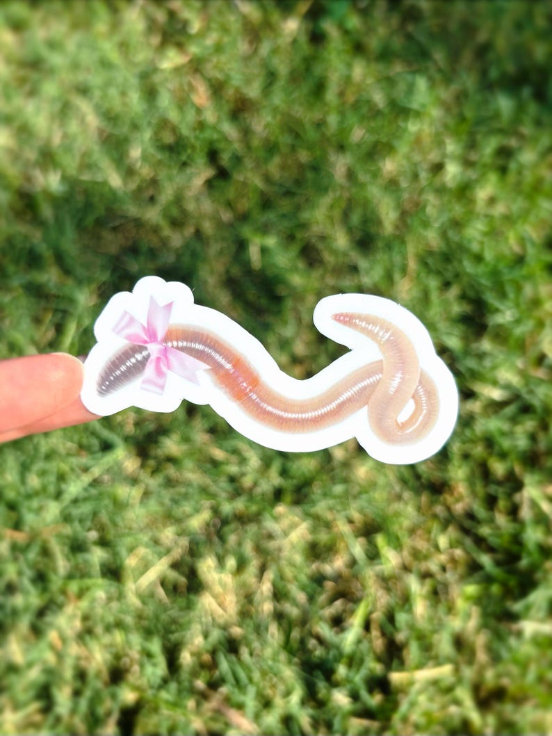 May include: A sticker depicting a cartoon earthworm adorned with a pink bow. The worm is light brown with a segmented body. The bow is tied around the worm's head. The sticker is on a white background, set against a blurred green grass background.