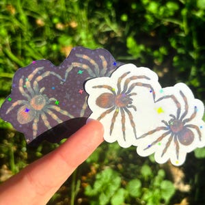 May include: Two spider stickers. One is a dark purple with a starry background, and the other is white. Both stickers feature a detailed illustration of a brown and tan spider with eight legs. The stickers are on a green background.