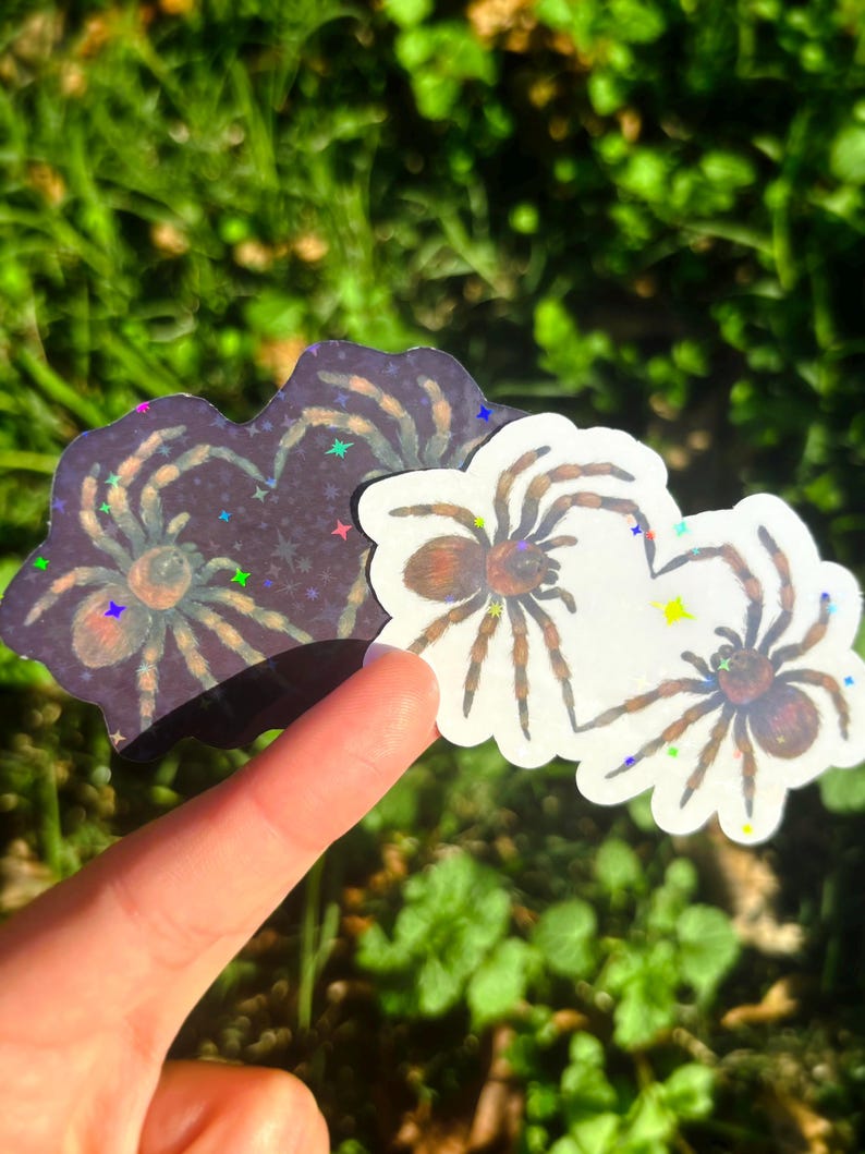 May include: Two spider stickers. One is a dark purple with a starry background, and the other is white. Both stickers feature a detailed illustration of a brown and tan spider with eight legs. The stickers are on a green background.