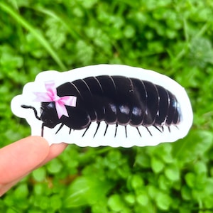 Coquette Roly Poly Sticker - Cute Isopod Sticker, Rollie Pollie Sticker, Pill Bug Sticker, Rolly Polly Sticker, Pillbug Sticker