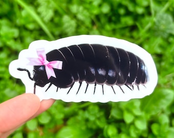 Coquette Roly Poly Sticker - Cute Isopod Sticker, Rollie Pollie Sticker, Pill Bug Sticker, Rolly Polly Sticker, Pillbug Sticker