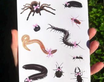 Coquette Bugs Sticker Sheet - Creepy Cute Insect Sticker Sheet, Cute Sticker Sheet, Kawaii Sticker Sheet, Cutesy Sticker, Centipede Sticker