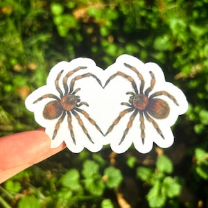 May include: A white sticker featuring two brown and tan spiders arranged to form a heart shape. The spiders have detailed legs and a furry appearance. The sticker is held against a blurred green background.