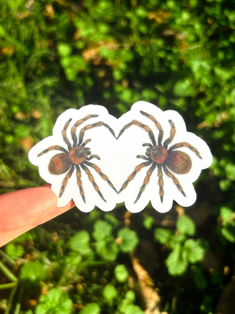 May include: A white sticker featuring two brown and tan spiders arranged to form a heart shape. The spiders have detailed legs and a furry appearance. The sticker is held against a blurred green background.