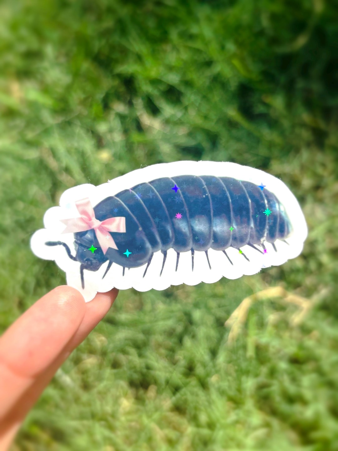 Coquette Roly Poly Sticker - Cute Isopod Sticker, Rollie Pollie Sticker ...